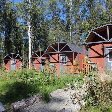 Dfa Cabin Rentals Талкитна Екстериор снимка