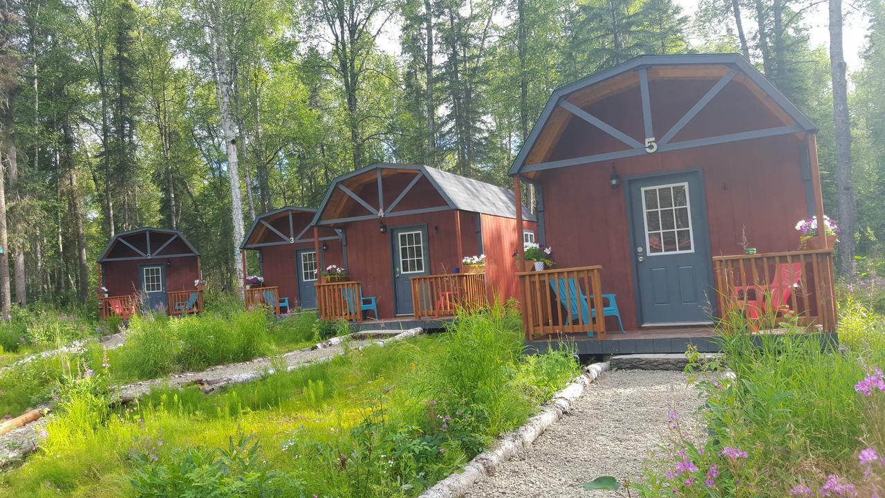 Dfa Cabin Rentals Талкитна Екстериор снимка