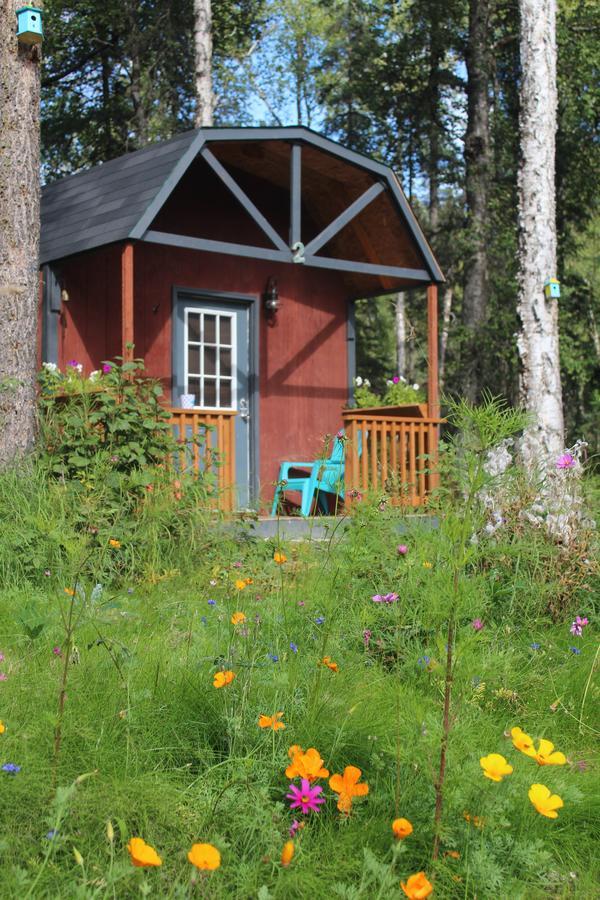 Dfa Cabin Rentals Талкитна Екстериор снимка