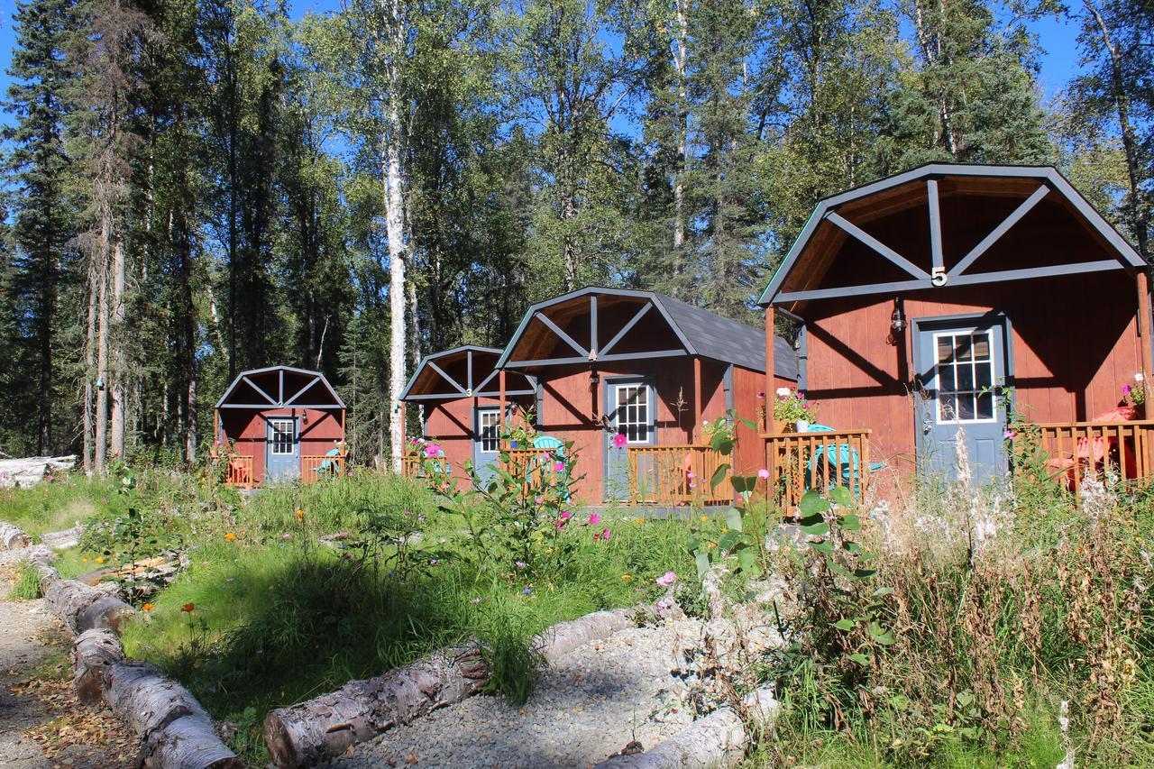 Dfa Cabin Rentals Талкитна Екстериор снимка